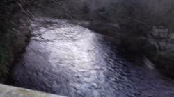 Pictures