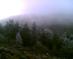 Wicklow