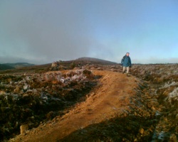 Wicklow
