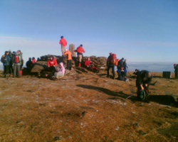 New Year's Day