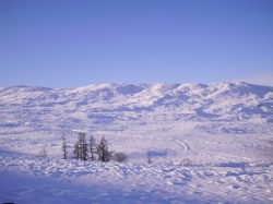 Snow Hike