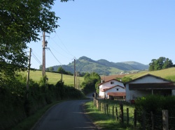 Camino