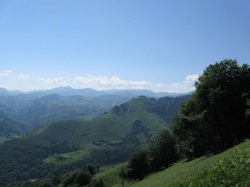 Camino