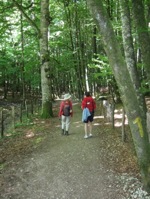 Camino