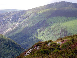 July Hike