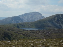 Donegal