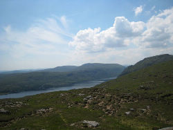 Donegal