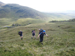 Donegal