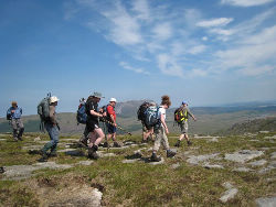 Donegal
