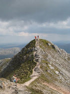 Donegal