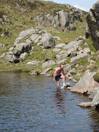 Donegal