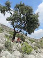 Mallorca
