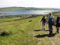 Dingle