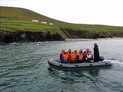 Dingle