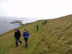 Dingle