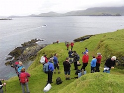 Dingle