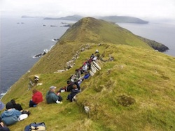 Dingle
