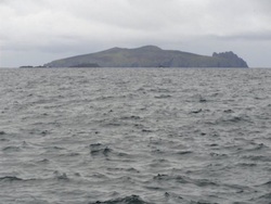 Dingle