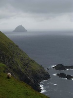 Dingle