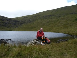 Dingle