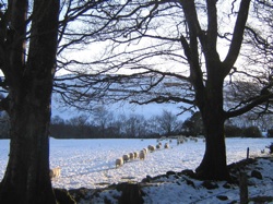 Snow Hike