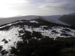Snow