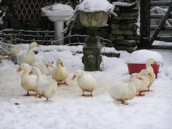 Lake District