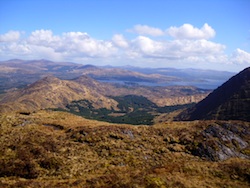 Kerry