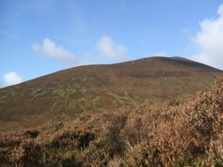 Clonmel