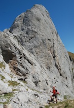 Pico