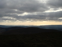 Kerry