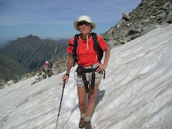 Pyrenees