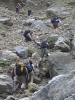 Pyrenees