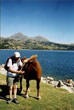 Cover Photo:
November/December 2001