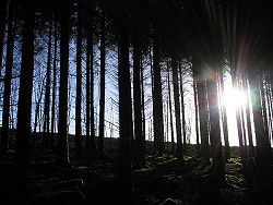 Cover Photo: January/February 2005