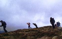 Cover
                  Photo: November 2005