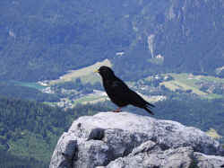 Cover
                  Photo: October 2005