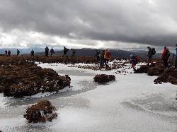 Cover
                  Photo: April 2006